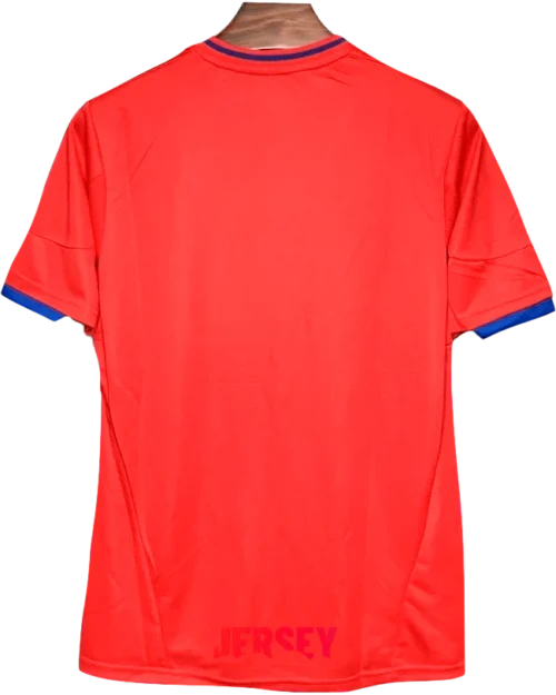 camiseta españa 2010 local reverso