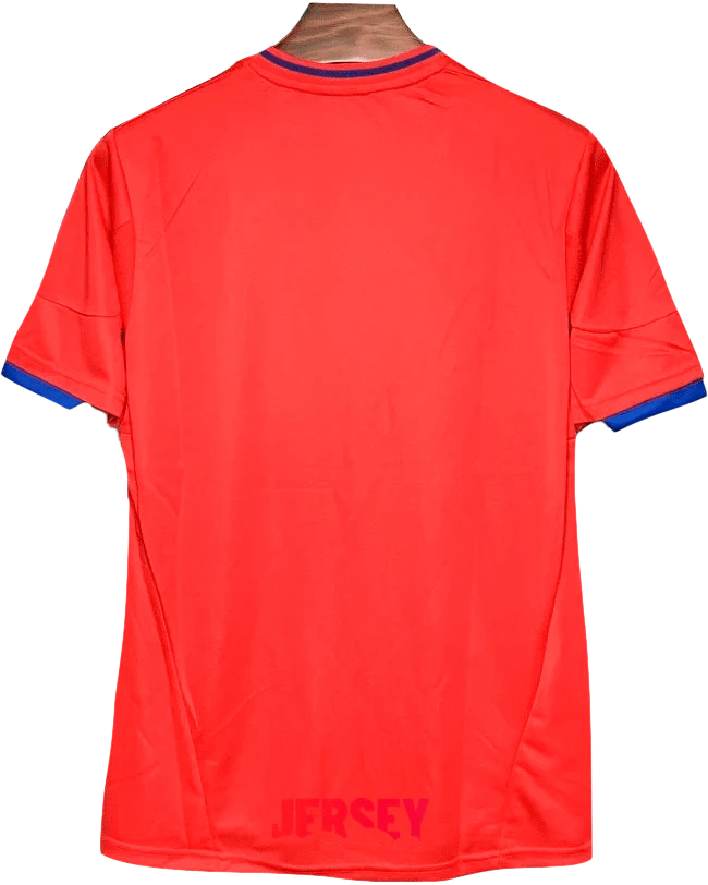 camiseta españa 2010 local reverso