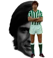 Camisetas retro Julio Cardeñosa Real Betis