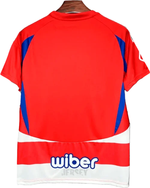 camiseta granada 2024 25 reverso