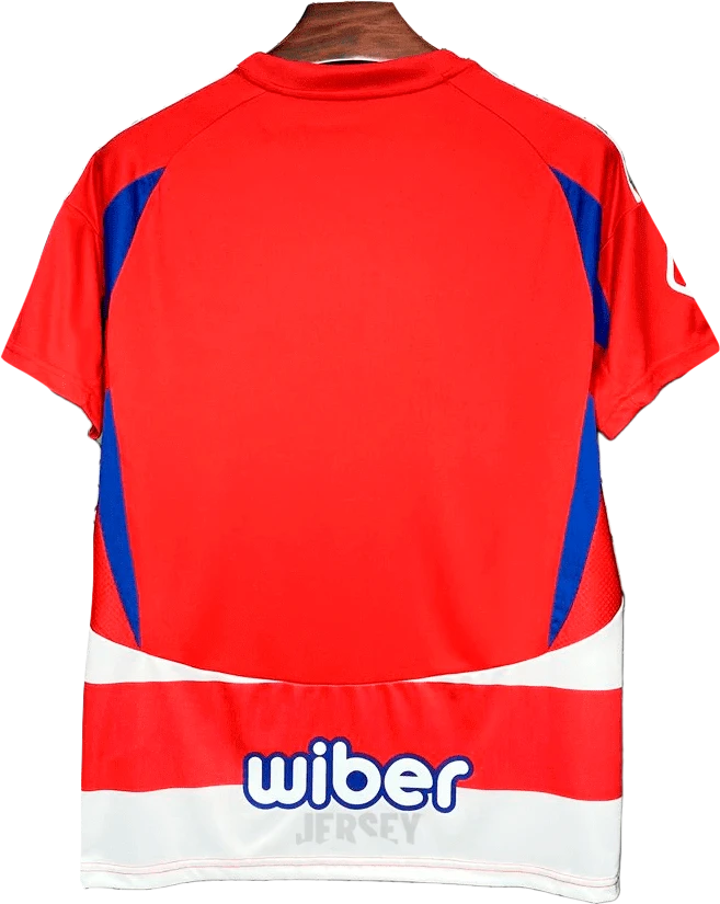 camiseta granada 2024 25 reverso