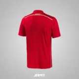 Camiseta España 2014 local reverso