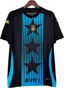 camiseta argentina 2024 entrenamiento