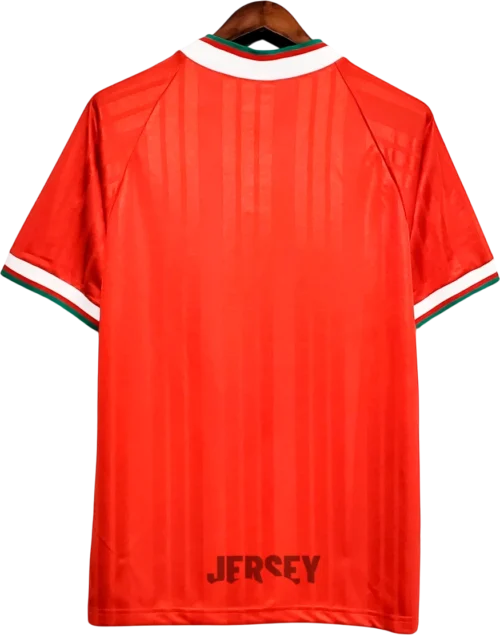 Camiseta Liverpool 1993 95 reverso
