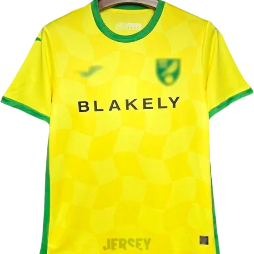 Camiseta norwich 2024 25