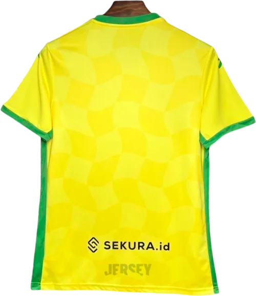 Camiseta norwich 2024 25 reverso