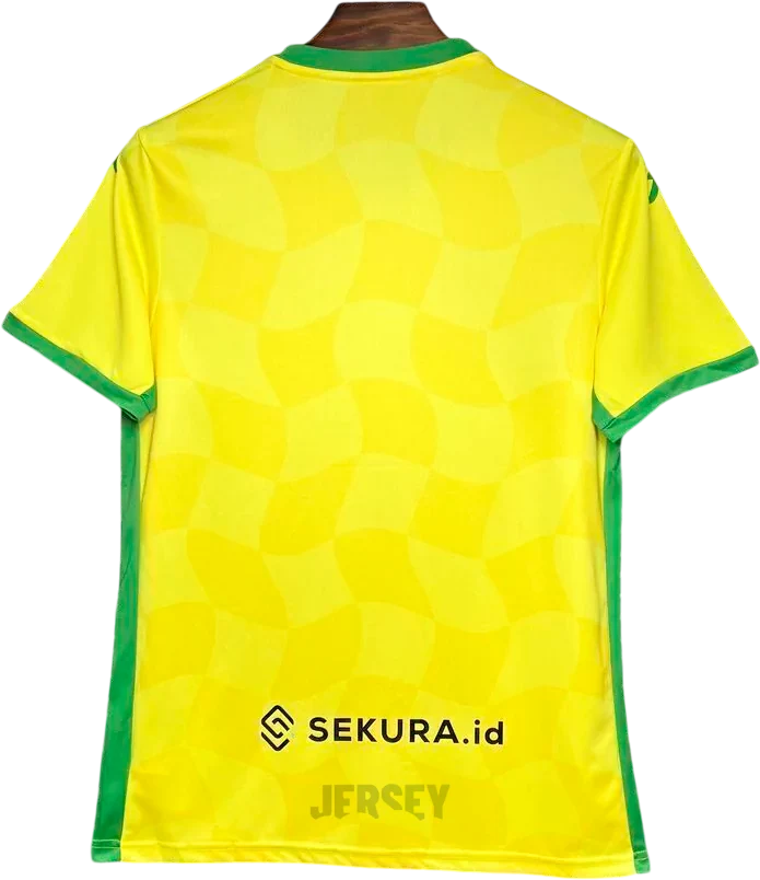 Camiseta norwich 2024 25 reverso
