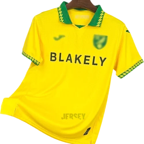 Camiseta norwich 2025 26