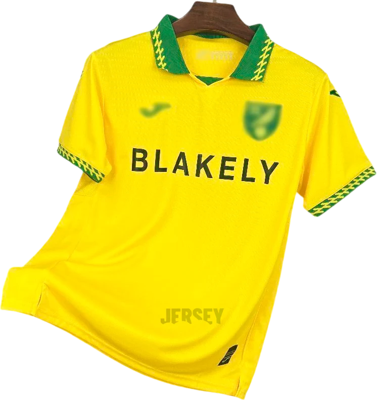 Camiseta Norwich 2025-26 Local
