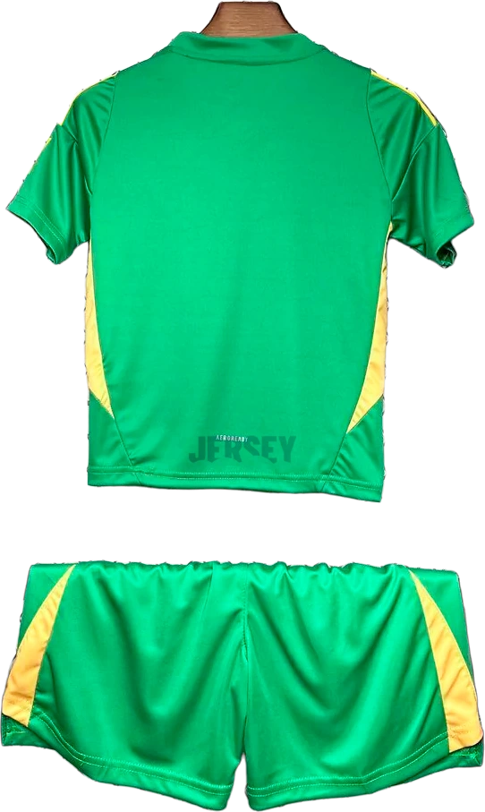 Camiseta Newcastle 2024-25 Portero Versión Infantil reverso