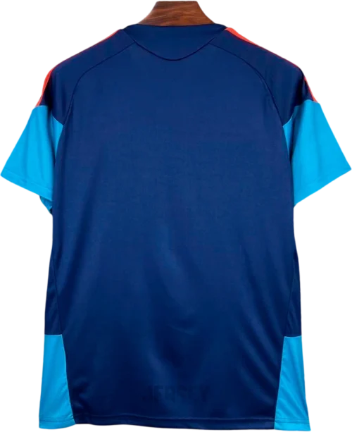 camiseta España 2026 entrenamiento reverso
