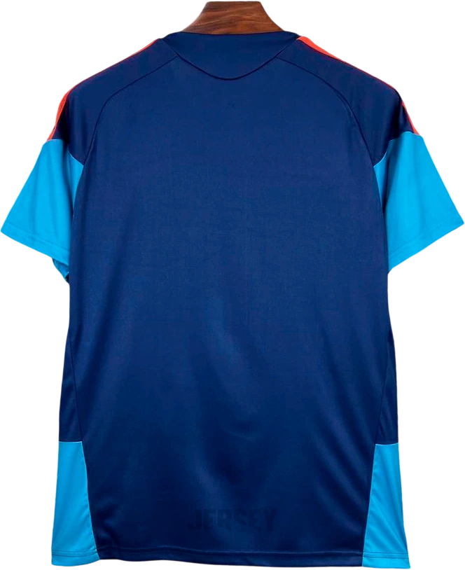 camiseta España 2026 entrenamiento reverso