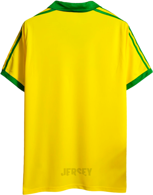 Camiseta Brasil 1979 Local — Espalda